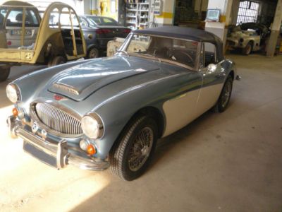 aston-haley-12