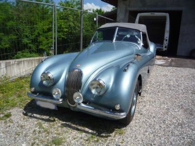 jaguar-xk120-49