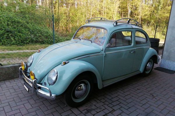 volkswagen-maggiolino-1FC6DF237-FF0B-8065-E223-5AEB8F3C8134.jpg